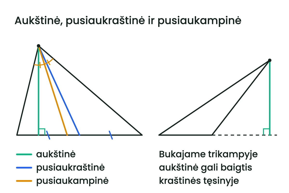 Smailusis trikampis su iš vienos viršūnės nubrėžtomis aukštine, pusiaukraštine ir pusiaukampine, o šalia bukasis trikampis, kurio aukštinė nuleista į kraštinės tęsinį