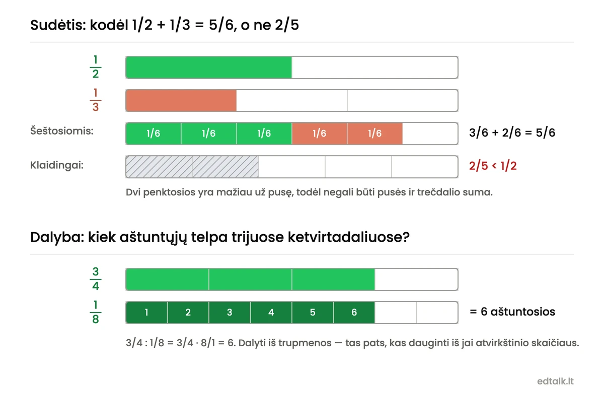 Trupmenų juostos. Viršuje pusė ir trečdalis, perrašyti šeštosiomis, kartu sudaro penkias šeštąsias, o klaidingas atsakymas — dvi penktosios — yra mažesnis už pusę. Apačioje parodyta, kad trijuose ketvirtadaliuose telpa šešios aštuntosios, todėl 3/4 : 1/8 = 6.