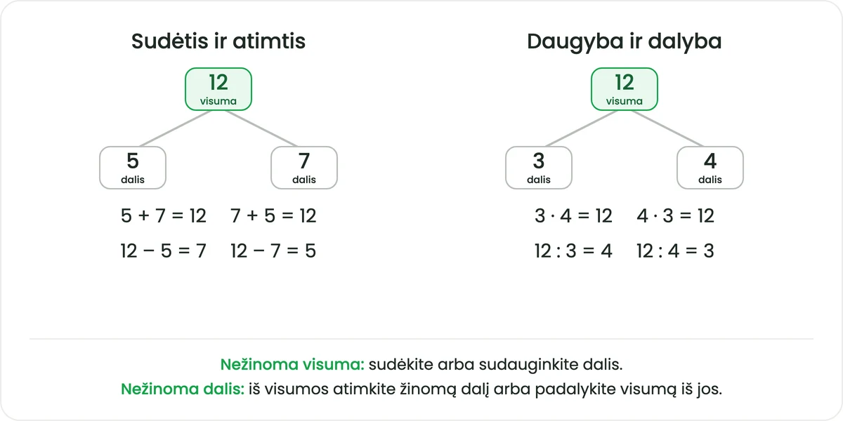 Dvi schemos, kuriose viršuje yra visuma, o apačioje — dalys. Kairėje skaičiai 12, 5 ir 7 su lygybėmis 5 + 7 = 12, 7 + 5 = 12, 12 − 5 = 7 ir 12 − 7 = 5; dešinėje skaičiai 12, 3 ir 4 su lygybėmis 3 · 4 = 12, 4 · 3 = 12, 12 : 3 = 4 ir 12 : 4 = 3; apačioje taisyklė: kai nežinoma visuma, dalys sudedamos arba sudauginamos, o kai nežinoma dalis, iš visumos atimama žinoma dalis arba visuma iš jos padalijama.
